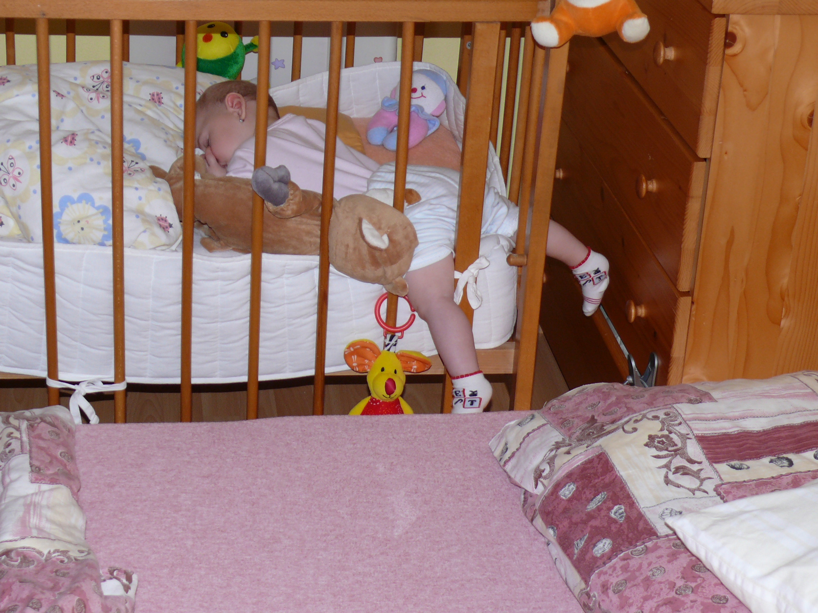 P1010843.JPG