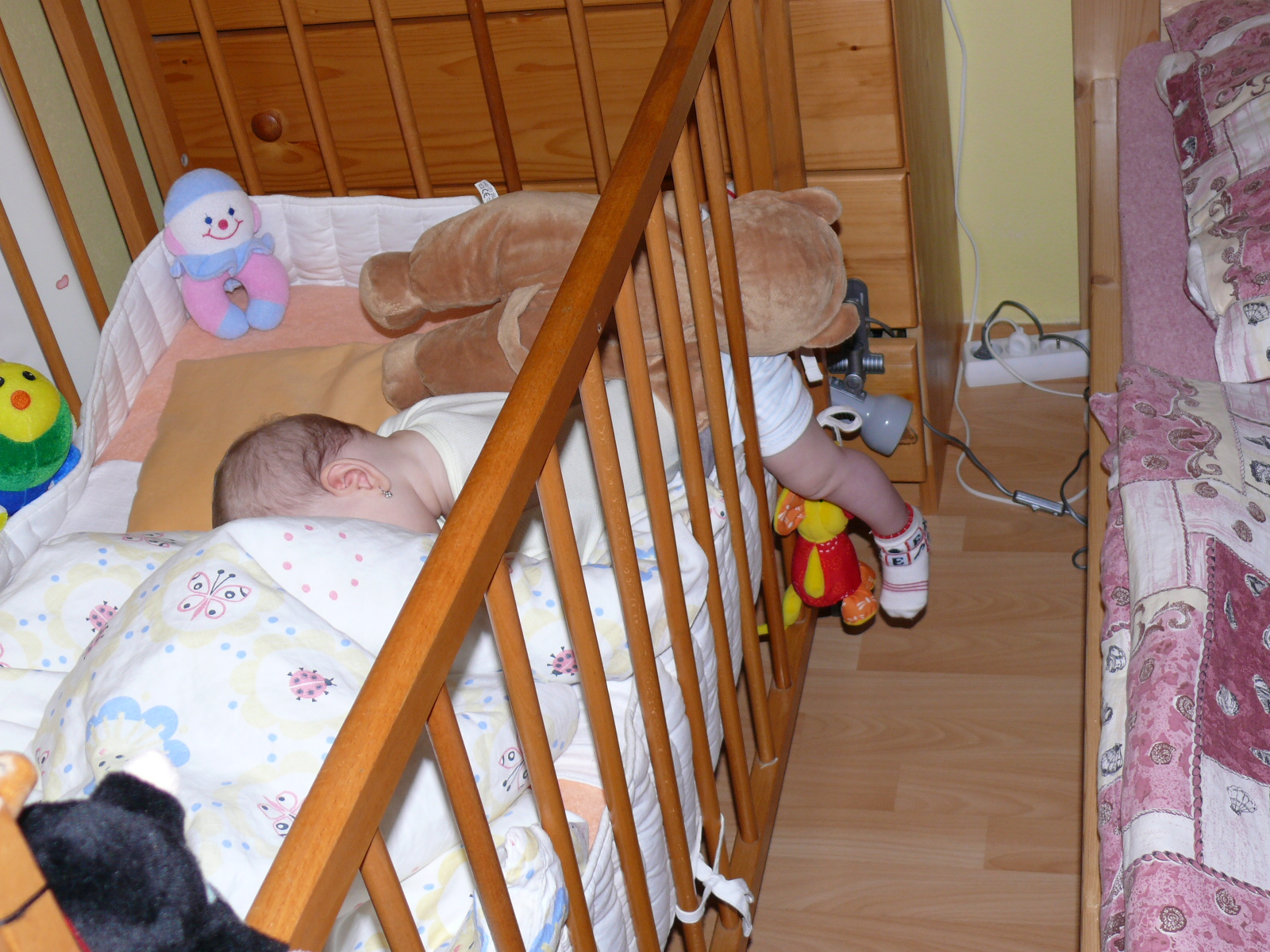 P1010839.JPG