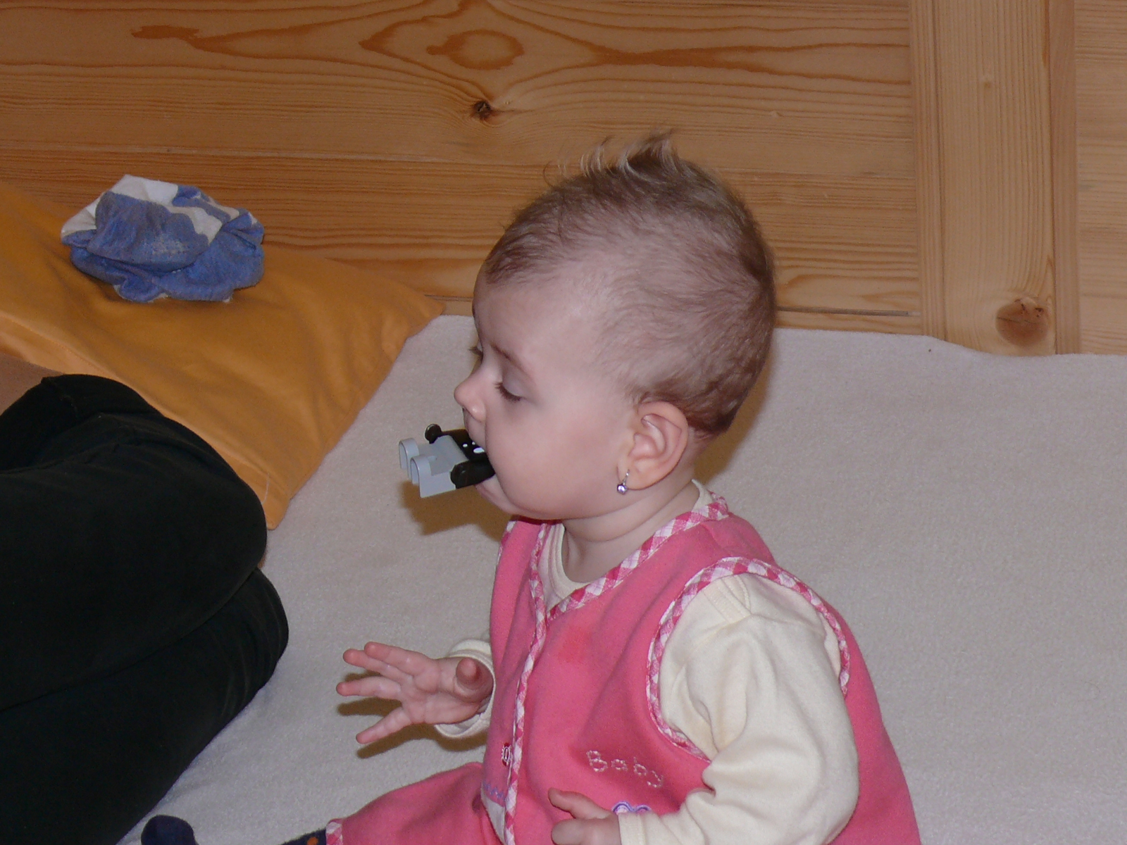 P1020071.JPG